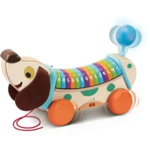 MON CHIEN ABC INTERACTIF – VTECH