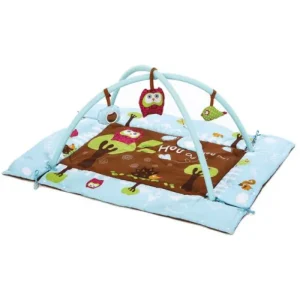 Tapis D’éveil « Chouette » – LUDI