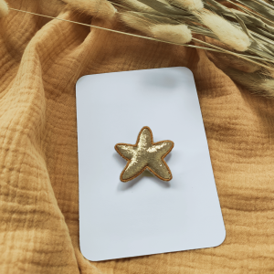 Broche Etoile