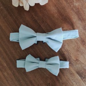 Noeud papillon bleu