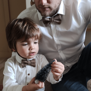 Noeud papillon de Noël